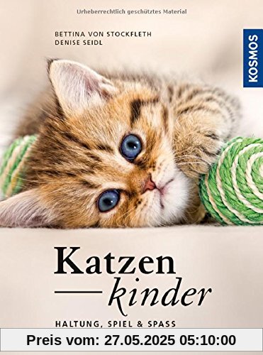 Katzenkinder: Haltung, Spiel & Spaß