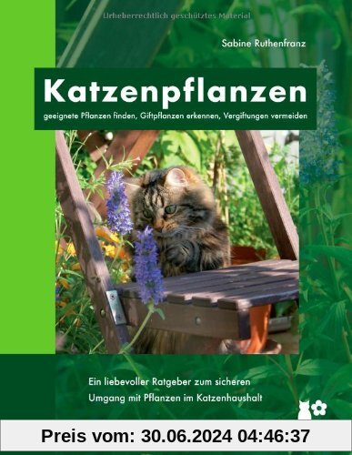 Katzenpflanzen: geeignete Pflanzen finden, Giftpflanzen erkennen, Vergiftungen vermeiden