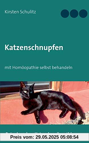 Katzenschnupfen: mit Homöopathie selbst behandeln