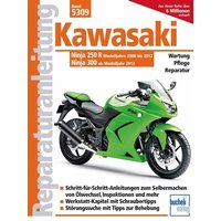 Kawasaki Ninja 250 R (2008-2012) 300 (ab 2013)