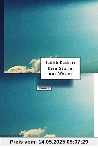 Kein Sturm, nur Wetter: Roman