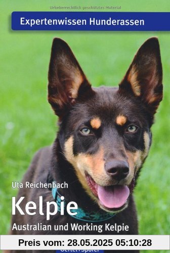 Kelpie: Australian und Working Kelpie Kelpie: Australian und Working Kelpie