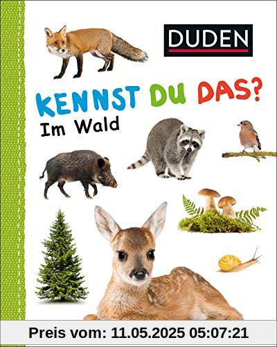 Kennst du das? Im Wald: Kennst du Im Wald (DUDEN Pappbilderbücher Kennst Du das?)