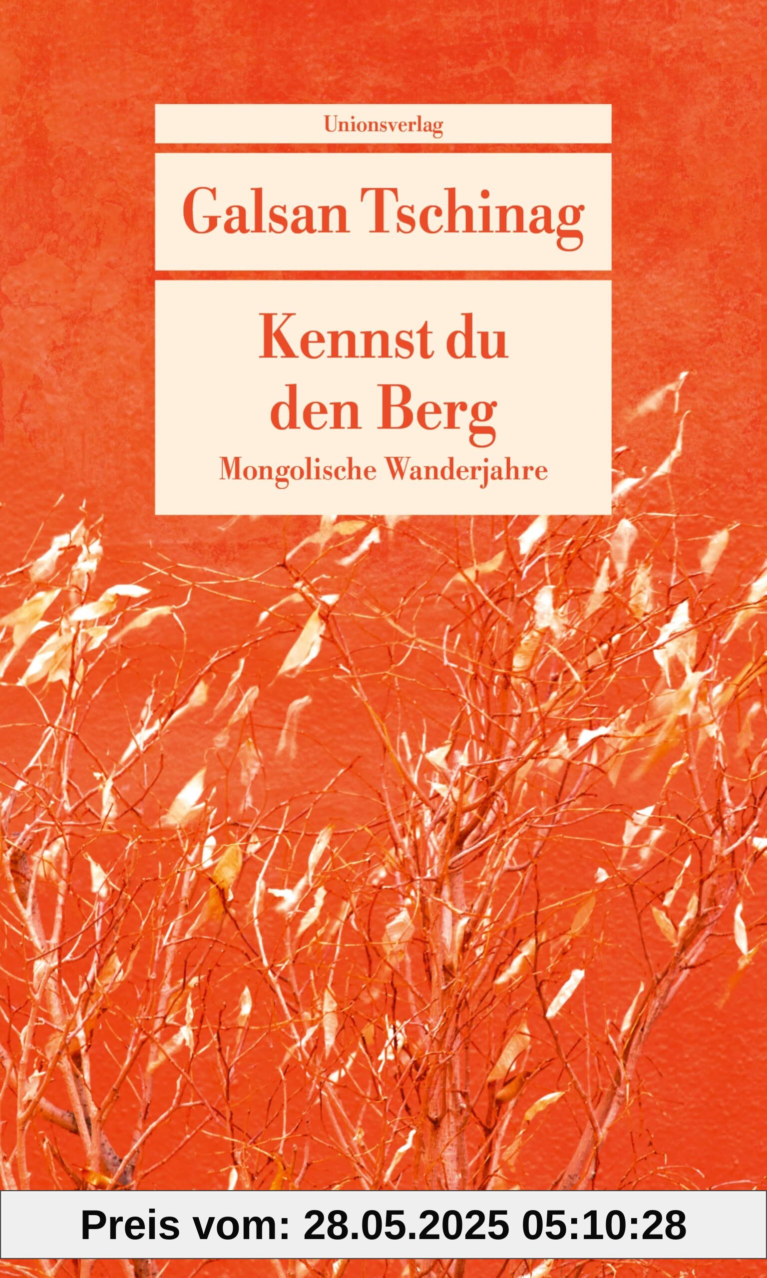 Kennst du den Berg: Mongolische Wanderjahre. Die Lebensromane (2)