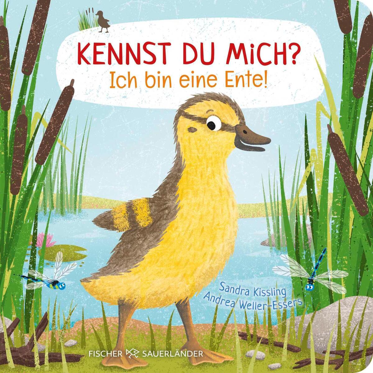 Kennst du mich? Ich bin eine Ente! Kennst du mich? Ich bin eine Ente! von FISCHER Sauerländer