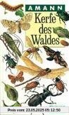 Kerfe des Waldes: Taschenbildbuch der beachtenswertesten Käfer, Schmetterlinge und sonstigen Kerfe des mitteleuropäischen Waldes, ihrer ... Fraßbilder mit Textteil über Bau und Leben Kerfe des Waldes: Taschenbildbuch der beachtenswertesten Käfer, Schmetterlinge und sonstigen Kerfe des mitteleuropäischen Waldes, ihrer ... Fraßbilder mit Textteil über Bau und Leben