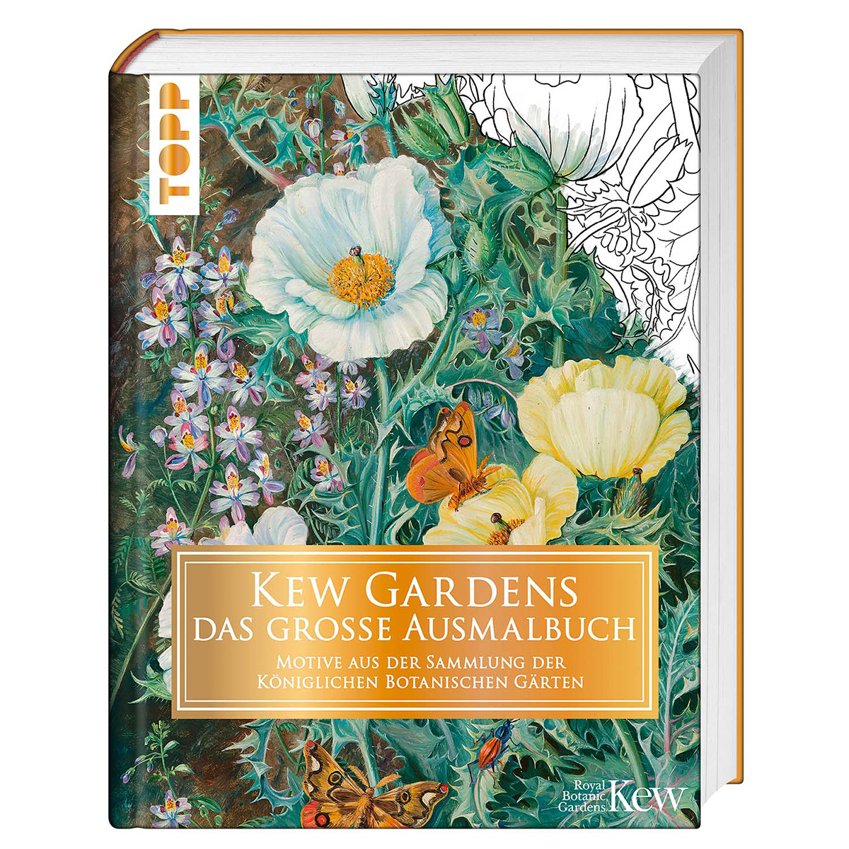 Kew Gardens Das große Ausmalbuch Kew Gardens Das große Ausmalbuch von Frech Verlag GmbH