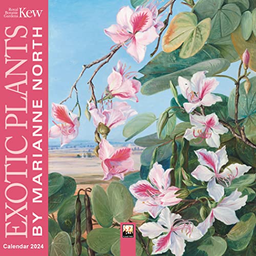 Kew Gardens Exotic Plants by Marianne North 2024 Calendar von Flame Tree Publishing