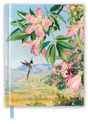 Kew Gardens: Foliage and Flowers by Marianne North (Blank Sketch Book) (Luxury Sketch Books): Unser hochwertiges Blankbook mit festem, künstlerisch ... Format 28 cm x 21,6 cm (Premium Skizzenbuch) von Flame Tree Gift