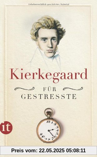 Kierkegaard für Gestresste (insel taschenbuch)