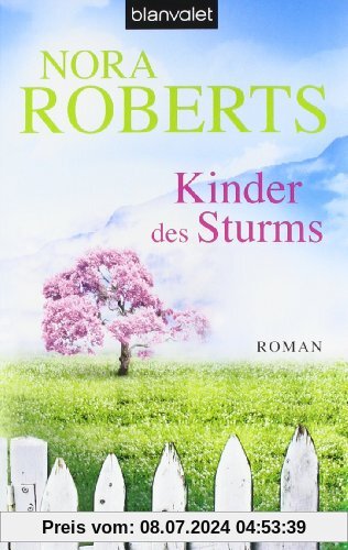 Kinder des Sturms: Roman (The Irish Trilogy)