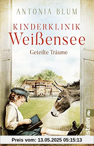 Kinderklinik Weißensee – Geteilte Träume: Roman | Die Kinderklinik-Saga geht weiter (Die Kinderärztin, Band 4)