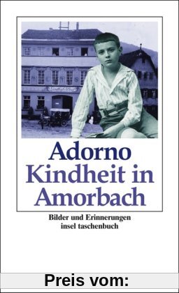 Kindheit in Amorbach: Bilder und Erinnerungen (insel taschenbuch)