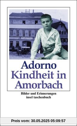 Kindheit in Amorbach: Bilder und Erinnerungen (insel taschenbuch)