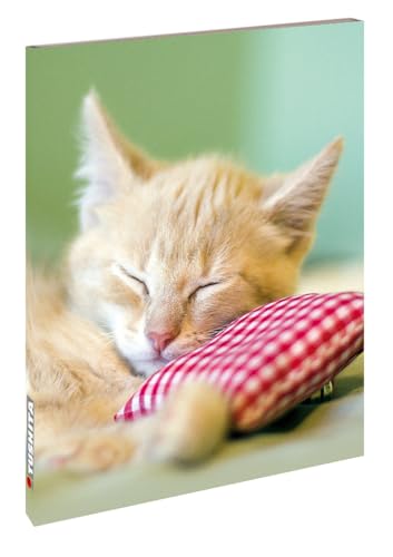 Kitten: Blankbook (Blankbook (RB906))