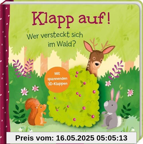 Klapp auf! Wer versteckt sich im Wald?: Mit spannenden 3D-Klappen | Erster Entdeckerspaß für Kinder ab 18 Monaten
