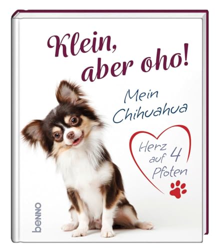 Klein, aber oho!: Mein Chihuahua – Herz auf 4 Pfoten