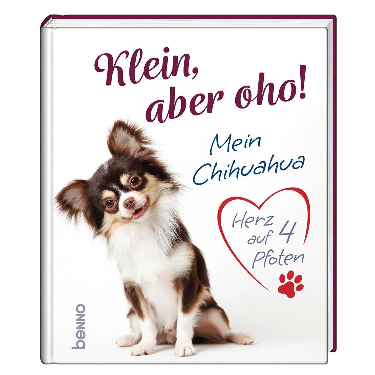 Klein, aber oho! Klein, aber oho! von St. Benno Verlag
