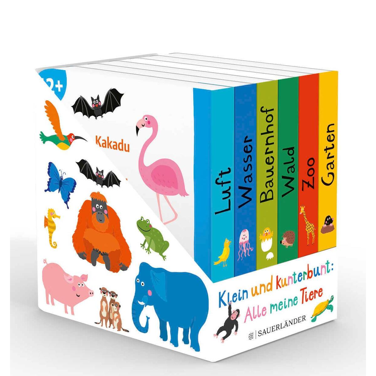 Klein und kunterbunt: Alle meine Tiere (Würfel) von FISCHER Sauerländer