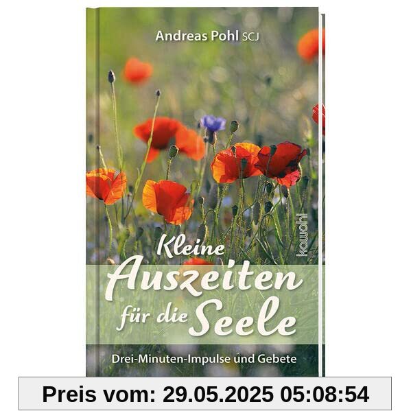 Kleine Auszeiten für die Seele: Drei-Minuten-Impulse und Gebete Kleine Auszeiten für die Seele: Drei-Minuten-Impulse und Gebete