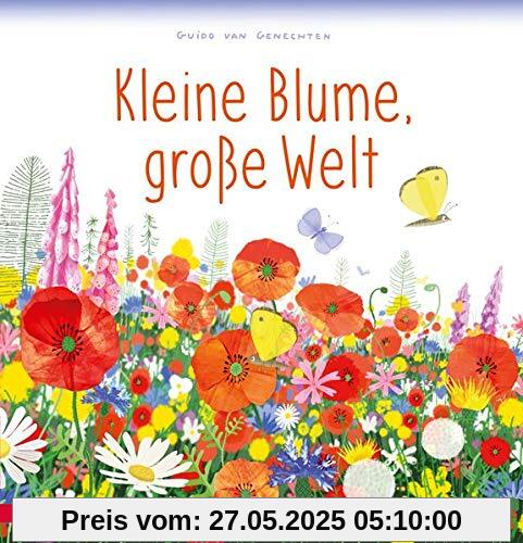 Kleine Blume, große Welt Kleine Blume, große Welt