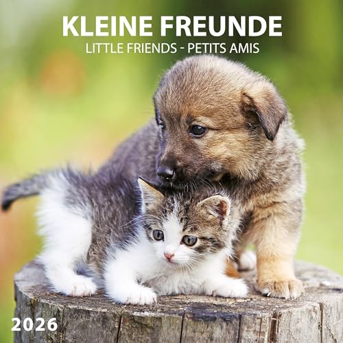 Kleine Freunde/Little Friends 2026: Kalender 2026 (Artwork Edition) von Tushita PaperArt