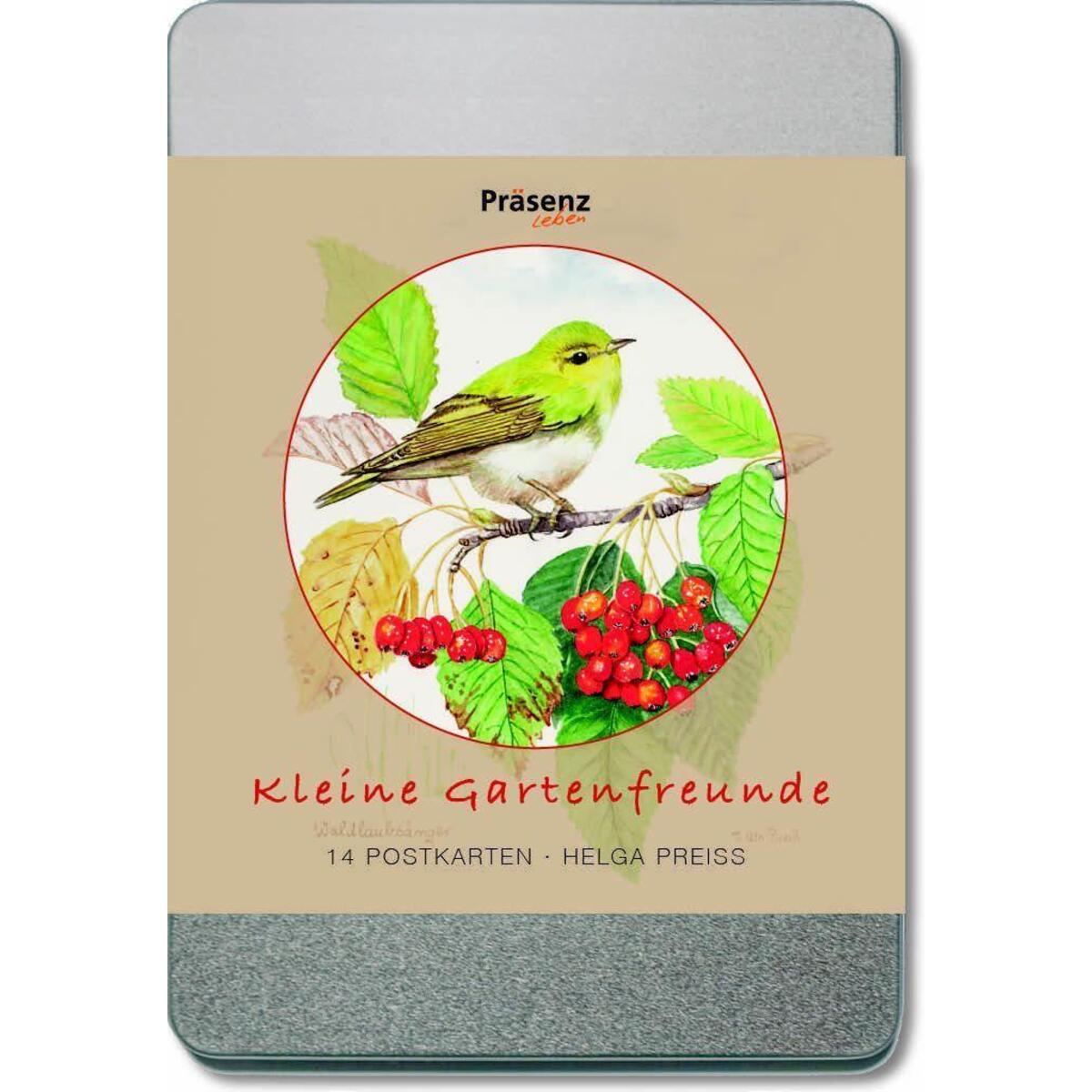 Kleine Gartenfreunde Kleine Gartenfreunde von Präsenz Medien & Verlag