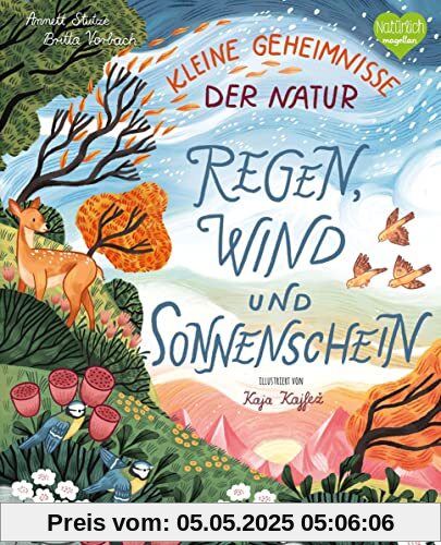 Kleine Geheimnisse der Natur - Regen, Wind und Sonnenschein: Ein Sachbilderbuch für Kinder ab 4 Jahren