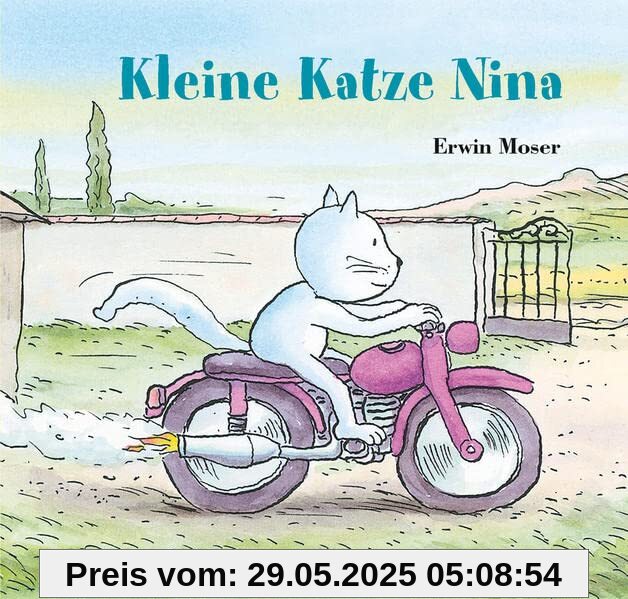 Kleine Katze Nina Kleine Katze Nina