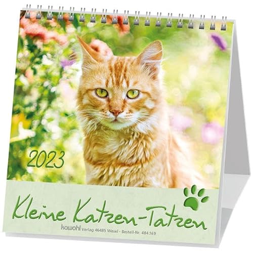 Kleine Katzen-Tatzen 2023: Postkarten-Kalender von Kawohl