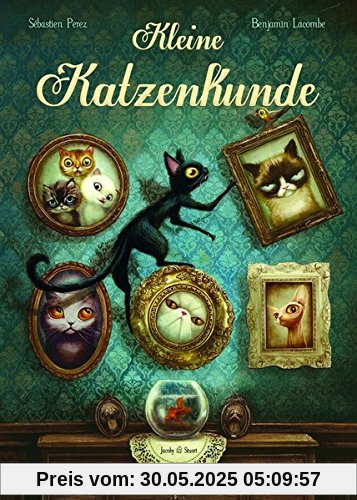 Kleine Katzenkunde Kleine Katzenkunde
