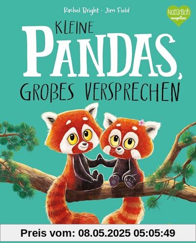 Kleine Pandas, großes Versprechen: Ein Bilderbuch zum Vorlesen ab 3 Jahren über Vertrauen und Zusammenhalt unter Geschwistern (Bright/Field Bilderbücher)
