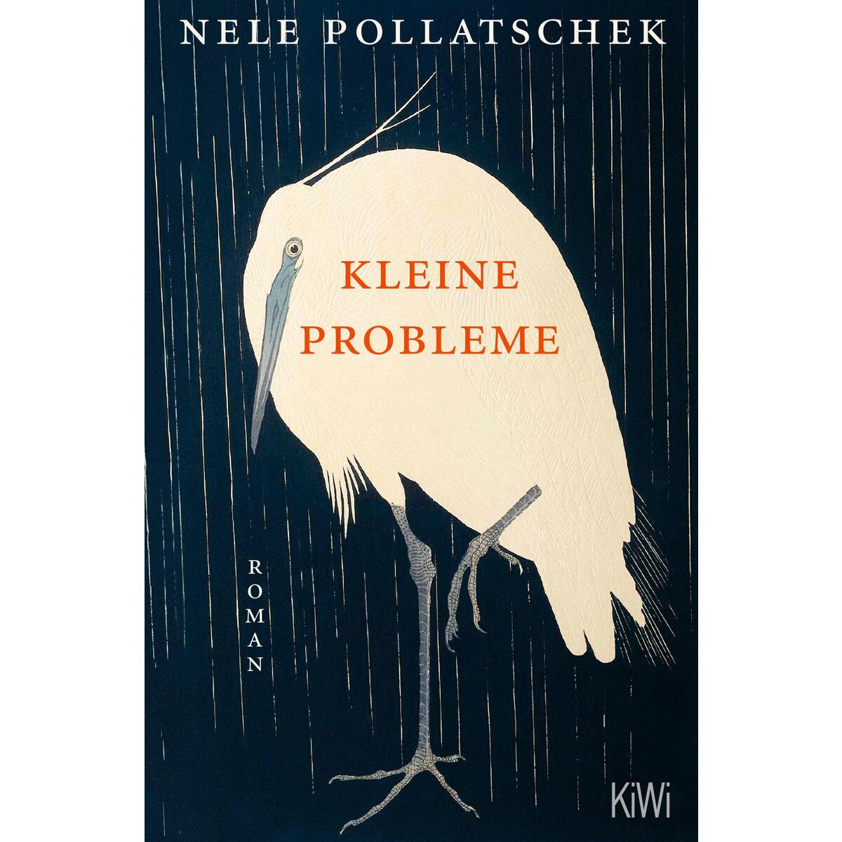 Kleine Probleme von Kiepenheuer & Witsch GmbH