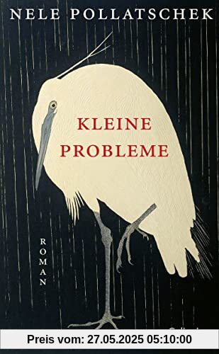 Kleine Probleme: Roman