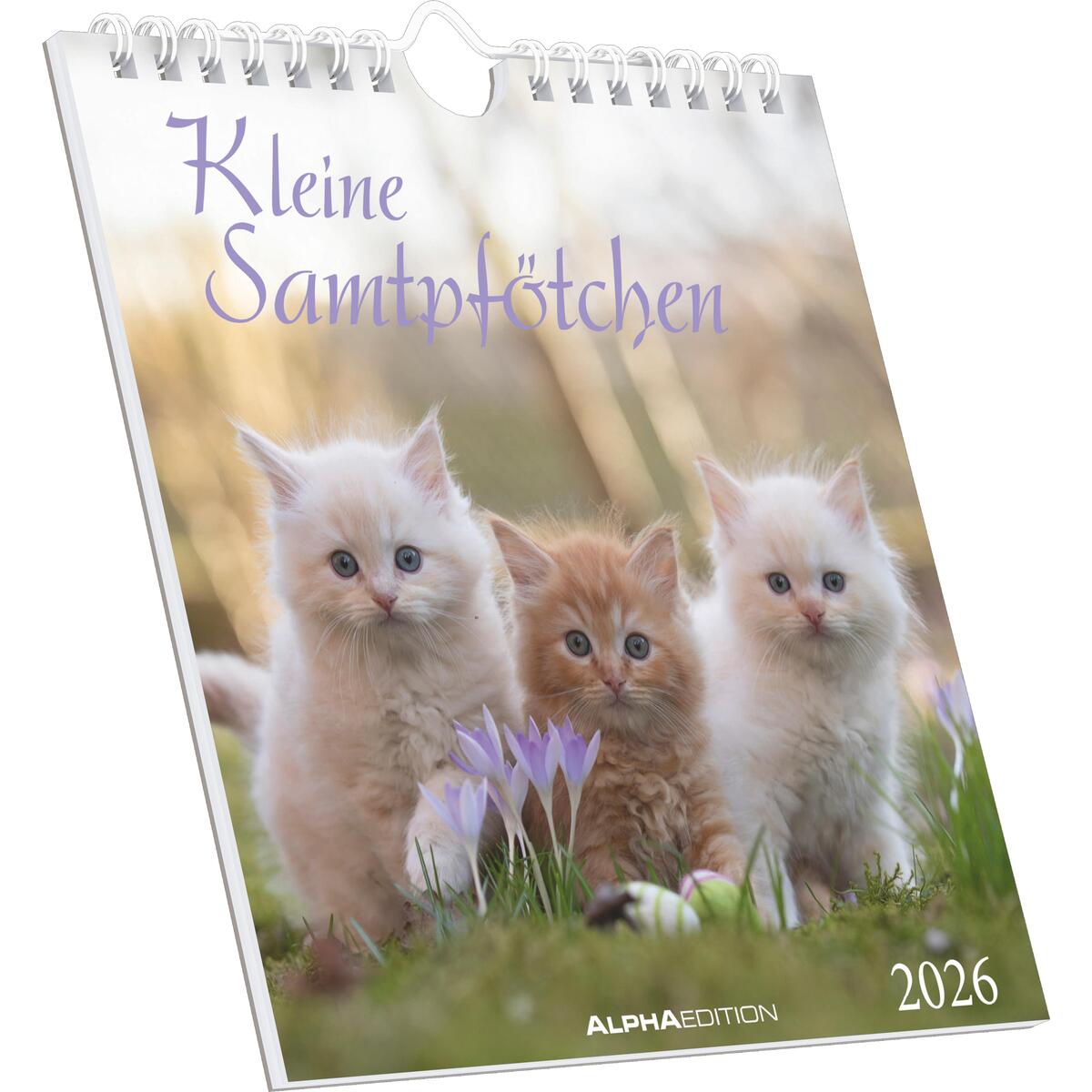 Kleine Samtpfötchen 2026 - Postkartenkalender 16x17 cm - Katzen - zum Aufstellen... Kleine Samtpfötchen 2026 - Postkartenkalender 16x17 cm - Katzen - zum Aufstellen... von Neumann Verlage GmbH & Co