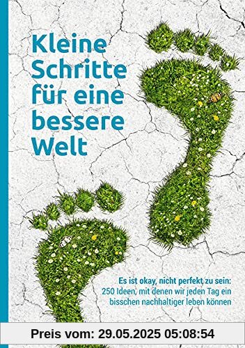 Kleine Schritte für eine bessere Welt: Es ist okay, nicht perfekt zu sein: 250 Ideen, mit denen wir jeden Tag ein bisschen nachhaltiger leben können