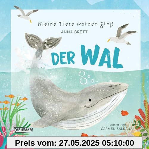 Kleine Tiere werden groß - Der Wal: Eine faktenreiche Bilderbuchgeschichte für Kinder ab 3 Jahren, die von den täglichen Abenteuern eines Wal-Jungen ... vielen Informationen, Quiz und Mitmachseiten
