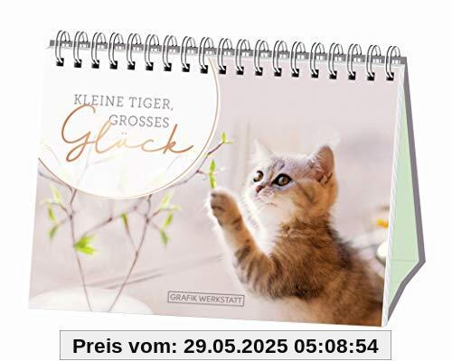 Kleine Tiger, großes Glück!: Spiralbuch Kleine Tiger, großes Glück!: Spiralbuch