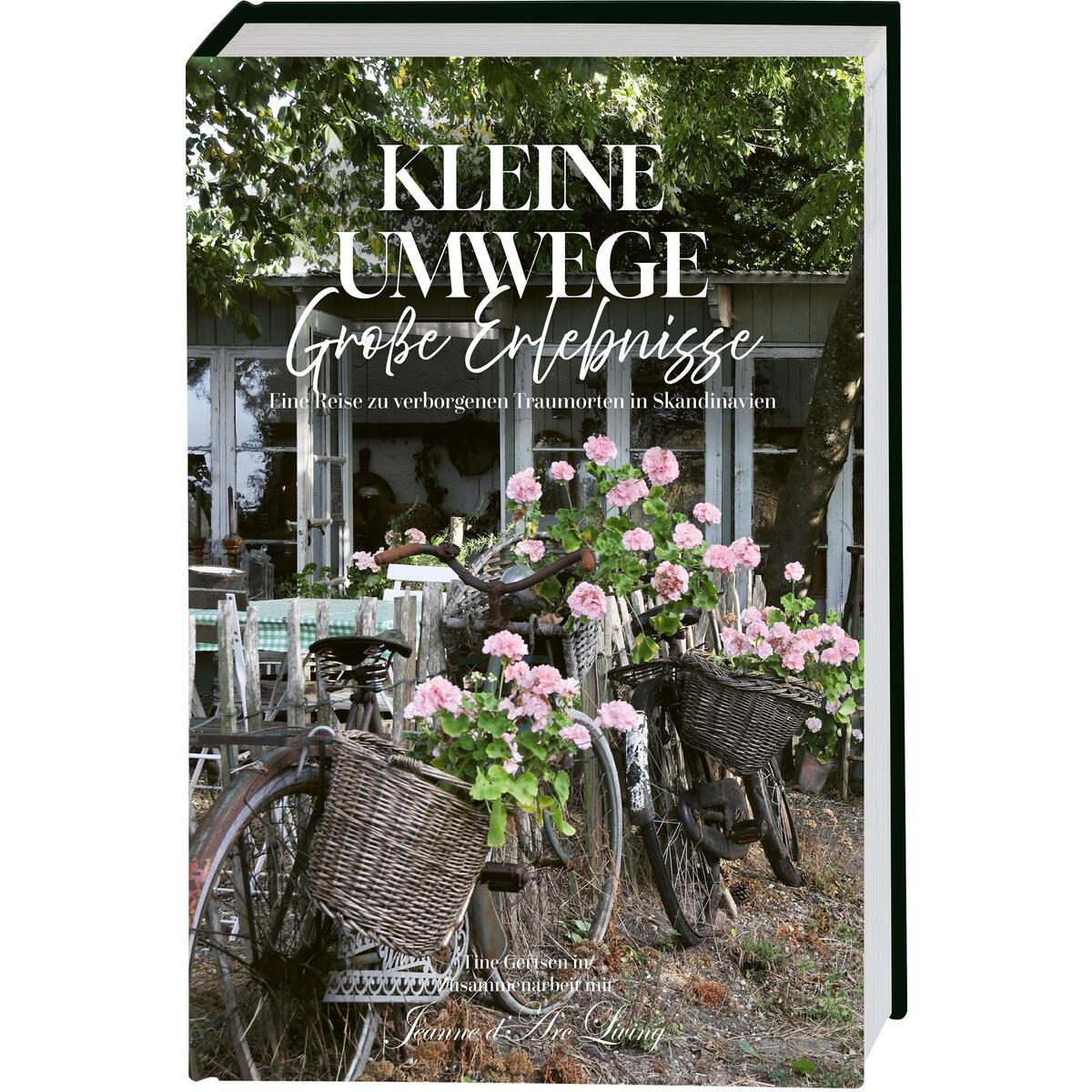 Kleine Umwege, große Erlebnisse. Eine Reise zu verborgenen Traumorten in Skandin... Kleine Umwege, große Erlebnisse. Eine Reise zu verborgenen Traumorten in Skandin... von Busse-Seewald Verlag