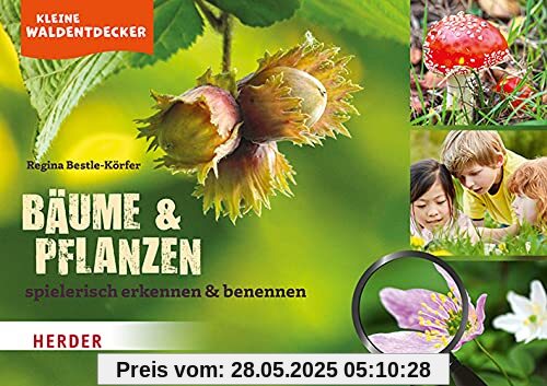Kleine Waldentdecker: Bäume & Pflanzen: spielerisch erkennen und benennen Kleine Waldentdecker: Bäume & Pflanzen: spielerisch erkennen und benennen