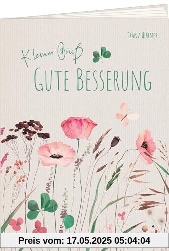 Kleiner Gruß - Gute Besserung (Geschenkhefte Kleiner Gruß)