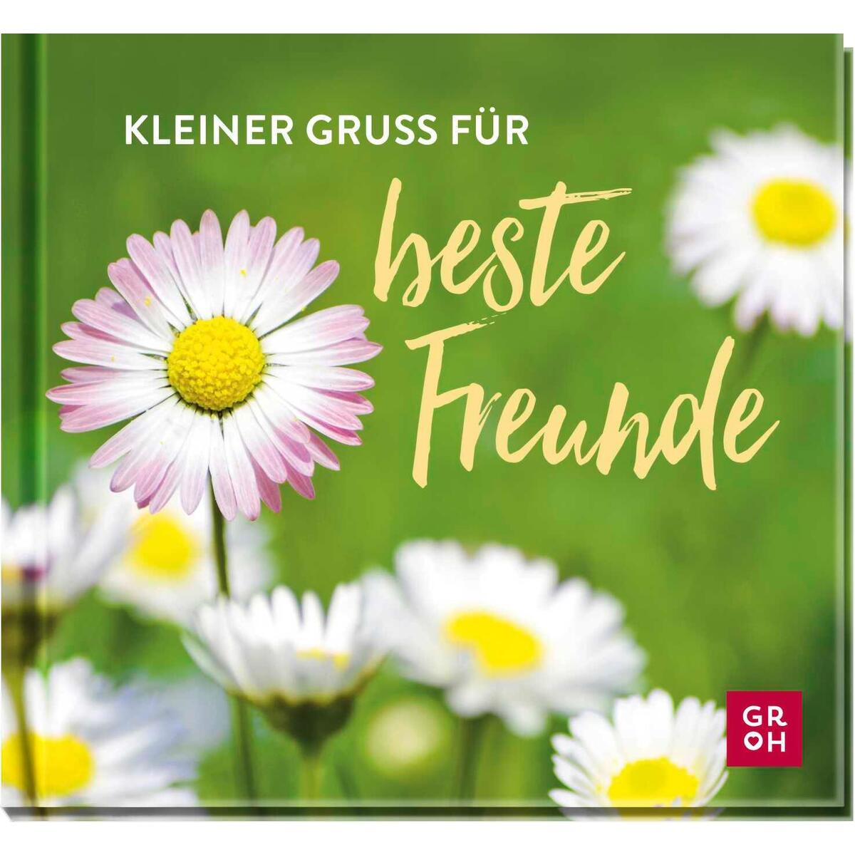 Kleiner Gruß für beste Freunde Kleiner Gruß für beste Freunde von Groh Verlag