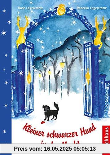 Kleiner schwarzer Hund in der Nacht