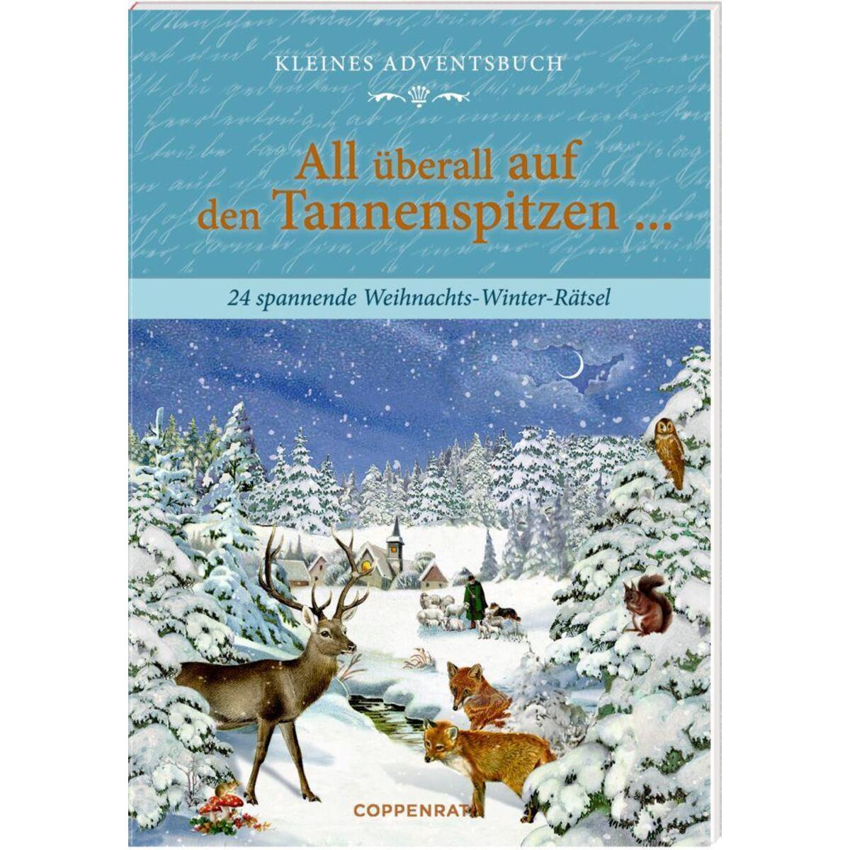 Kleines Adventsbuch »Winter-Rätsel« Kleines Adventsbuch »Winter-Rätsel« von Coppenrath