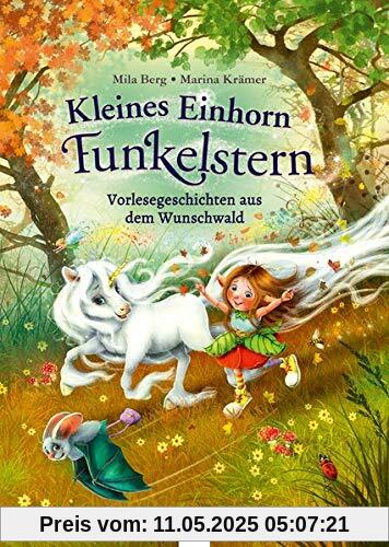 Kleines Einhorn Funkelstern. Vorlesegeschichten aus dem Wunschwald