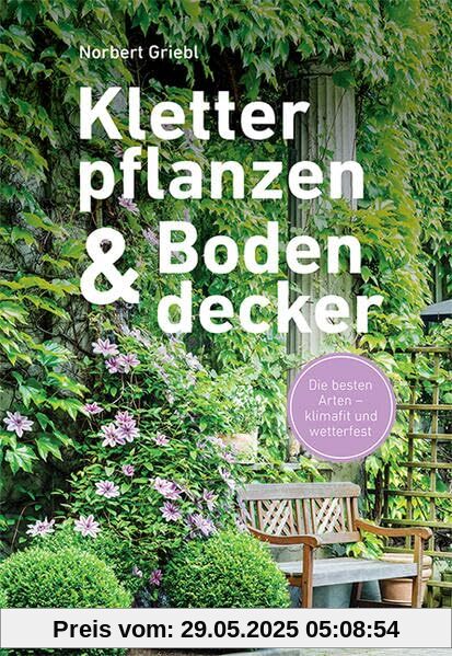 Kletterpflanzen und Bodendecker: Die besten Arten - klimafit und wetterfest