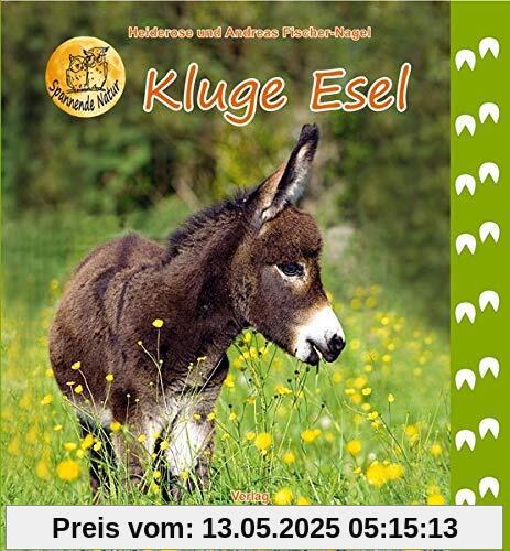 Kluge Esel