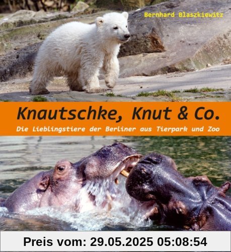 Knautschke, Knut & Co: Die Lieblingstiere der Berliner aus Tierpark und Zoo