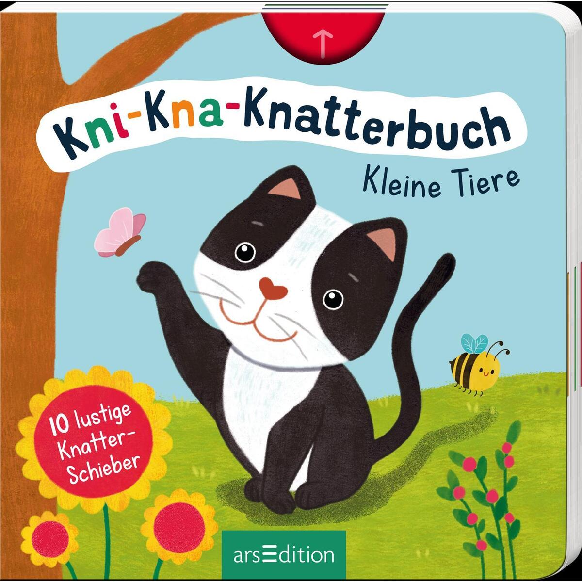 Kni-Kna-Knatterbuch - Kleine Tiere Kni-Kna-Knatterbuch - Kleine Tiere von Ars Edition GmbH