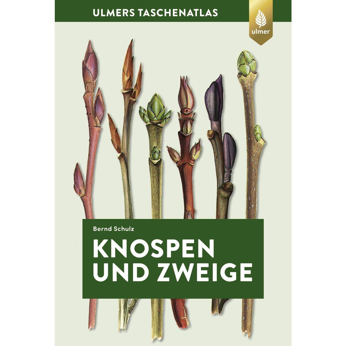 Knospen und Zweige von Ulmer Eugen Verlag